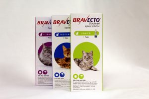 Bravecto Cat